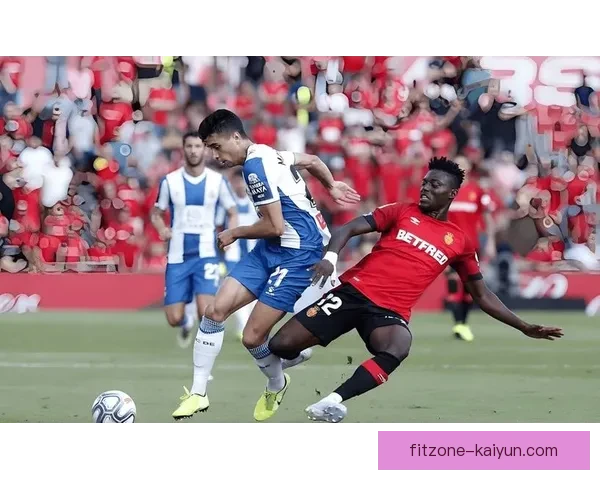 马洛卡防守数据持续稳定，近期表现备受关注。