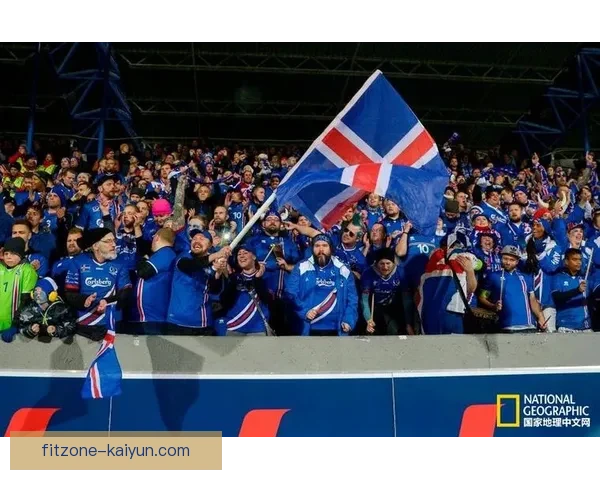 2018世界杯冰岛表现回顾：球队竞争力增强与表现稳健分析